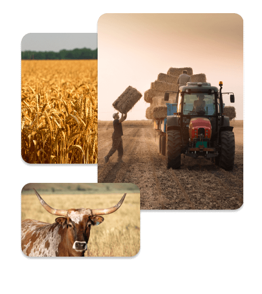Collage of Farming Images